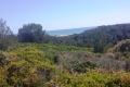 Blick von La Clape zu Narbonne-Plage April 2017