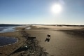 Hundestrand Nov. 2017 - 3