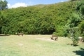 Park hinterm Haus
