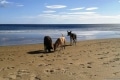 Strand Okt.