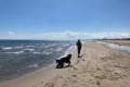 Sandstrand von Narbonne-Plage im Frühjahr mit Blick auf das Mittelmeer und die Pyrenäen mit dem Gipfel Canigou
