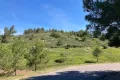 Straße am Chemin de la Falaise im Massif de la Clape nahe der Ferienwohnung L’Aubergine Bellevue