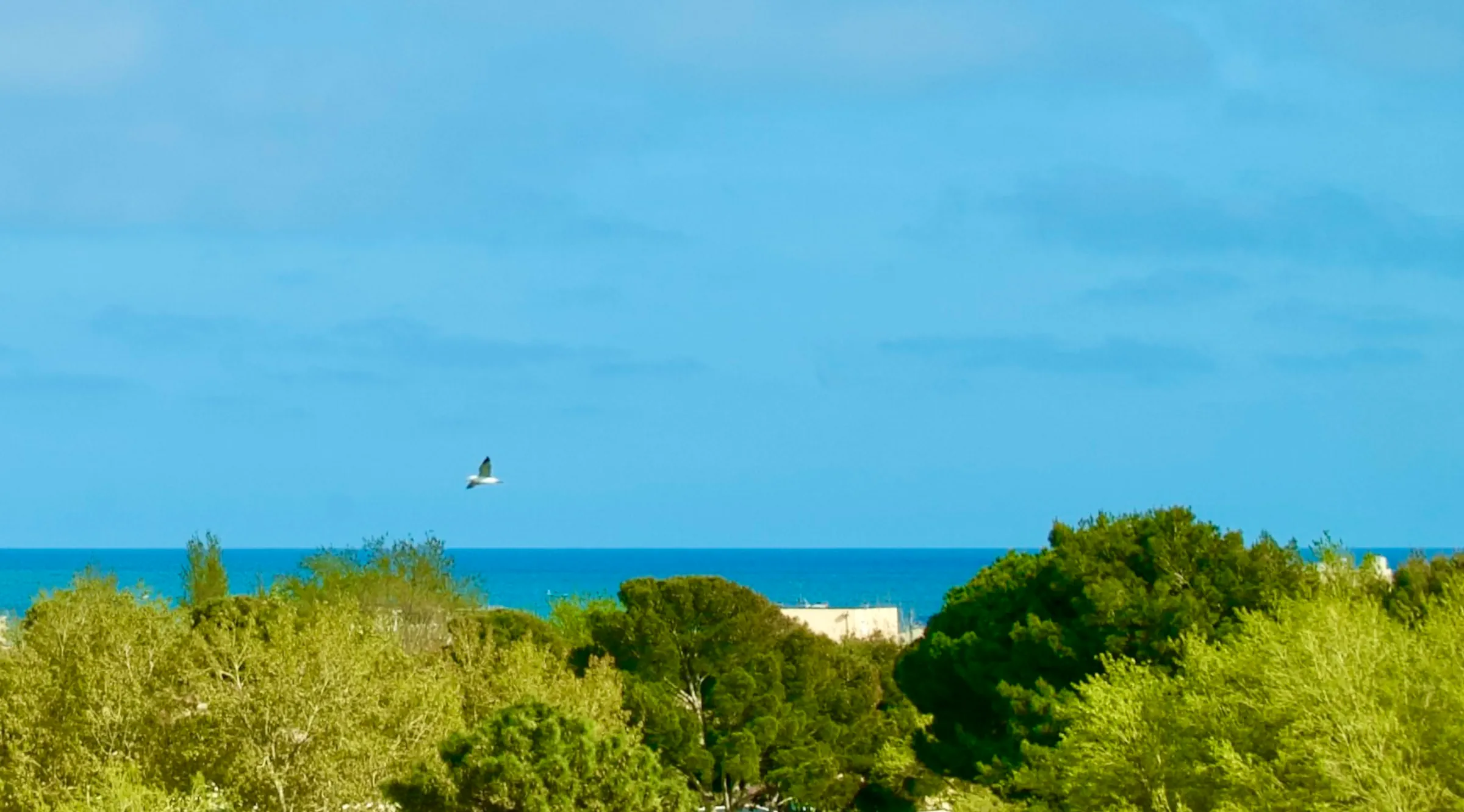 Private Ferienwohnung mit Meerblick in Narbonne-Plage – Blick vom Balkon auf Ort und Mittelmeer