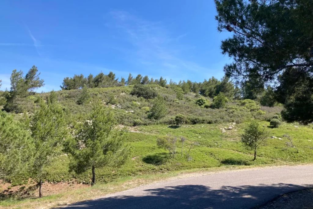 Straße am Chemin de la Falaise im Massif de la Clape nahe der Ferienwohnung L’Aubergine Bellevue